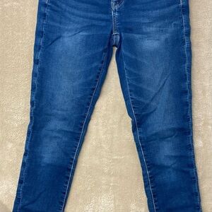 American Eagle Outfitters Dark Blue Skinny Jeans